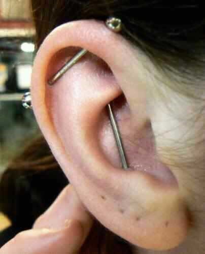 My Piercings: Piercings