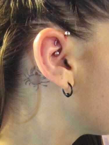 My Piercings: Piercings